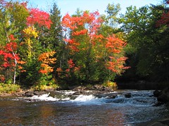 Oxtongue River-Ragged Falls Provincial Park, ON