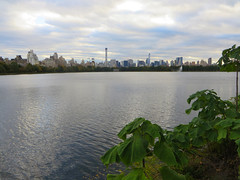 Jacqueline Kennedy Onassis Reservoir area in Central Park, Manhattan, NYC