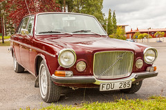 Classic Volvo 164