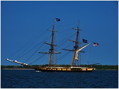 Tall Ship - U.S. Brig Niagara