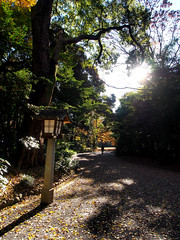 2014-12 Day 7 Japan (Meiji & Yoyogi Park)