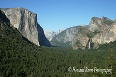 Yosemite National Park (D)