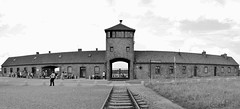 Auschwitz [07/2014]