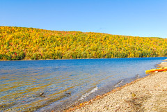 Fall Foliage in the Finger Lakes