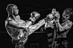 MMA - Dawid Masel vs David Willmott