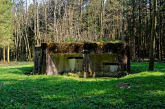 Aisne : Ligne Maginot - Forêt de Saint Michel
