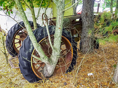 Vintage Tractor Show: 2014 Federalsburg, MD