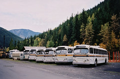 Retired Brill Trolley Buses