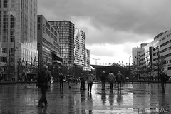 A Rainy Day in Rotterdam