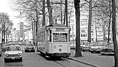 Trams in Antwerpen