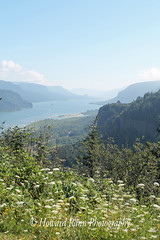 Columbia River Gorge (D)