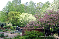 Atlanta Botantical Gardens (D)