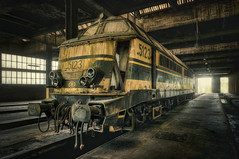Forgotten Trains