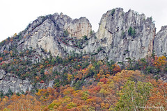 West Virginia Mountains (D)