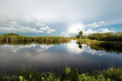 Everglades National Park & Tamiami Trail (Florida)