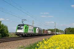 Baureihe ES64U4 (183, 1216)
