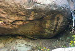 Condor Man Cave