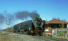 South African Steam