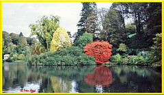 Stourhead Gardens, Wiltshire