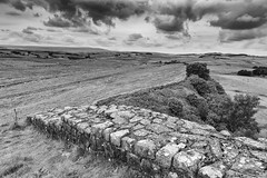 Hadrian's wall at Cuddy's Crags