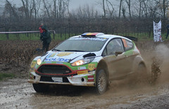 Ford Fiesta R5 Chassis 029 (not active since 2015)