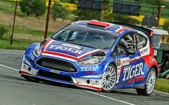 Ford Fiesta R5 Chassis 055 (active)