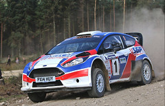 Ford Fiesta R5 Chassis 060 (active) 