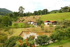 [2009] Monte Alegre do Sul