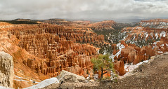 Canyons of the SW USA
