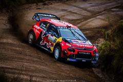0289 - WRC Rally Argentina 2019