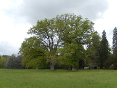 Château et parc de Bouges-le château, Indre