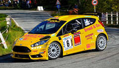 Ford Fiesta R5 Chassis 094 (active)