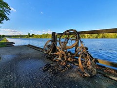 Vélos en Seine