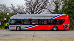 WMATA Metrobus 2019 New Flyer Xcelsior XN40 #3202