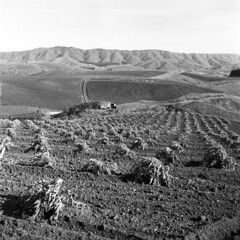 farmland, american southwest, 1957 (1957-280-16)