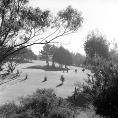 golf course, 1957 (1957-280-17)