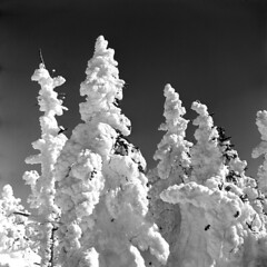 white mountains, nh, set 5 - february 1958 (2900658)