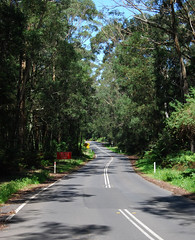 Roads - Illawarra