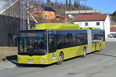 Norway buses & trams