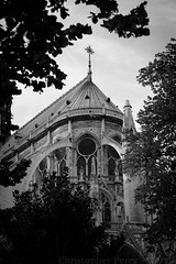 In Memory ~ Notre Dame de Paris