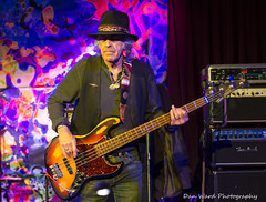 David Nelson Band @ The Grate Room
