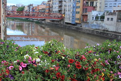 Girona Temps de flors. 2019