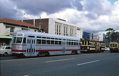 Adelaide trams, centenary of street transport, June 1978