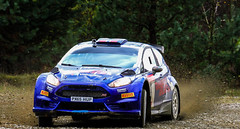 Ford Fiesta R5 Chassis 138 (active)
