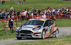 Ford Fiesta R5 Chassis 219 (active)
