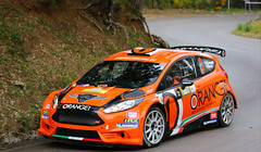 Ford Fiesta R5 Chassis 220 (active)