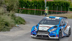 Ford Fiesta R5 Chassis 191 (not active since 2018)
