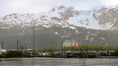 Glacier Cruise from Whittier, Alaska