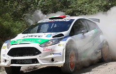 Ford Fiesta R5 Chassis 118 (active)