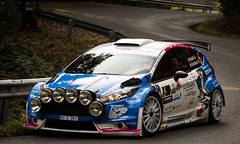 Ford Fiesta R5 Chassis 171 (active)